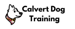 Calvert Dog Training logo with white dog with red collar