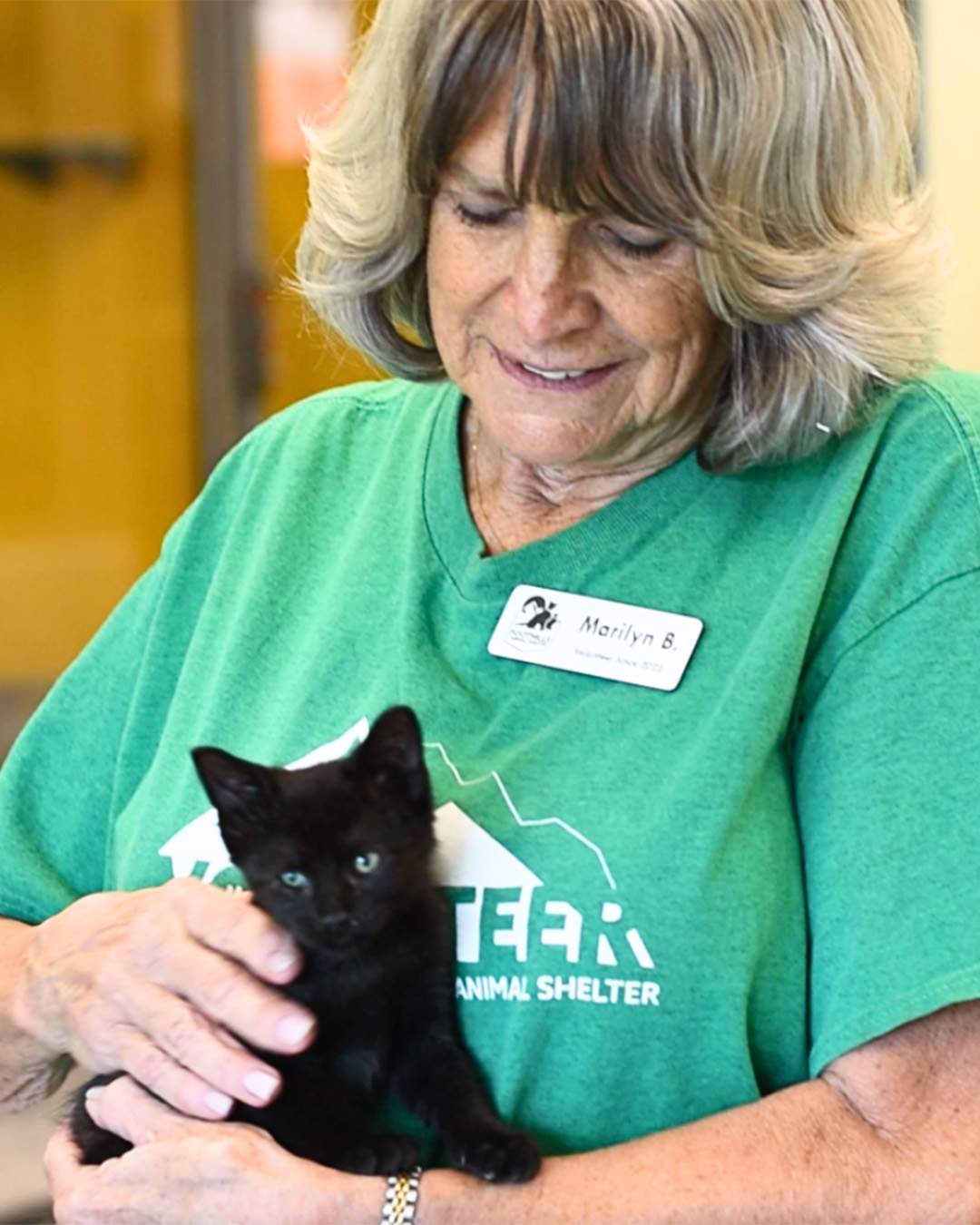 Volunteer - Image of a woman holding a cat