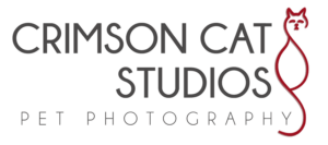 Crimson Cat Studios