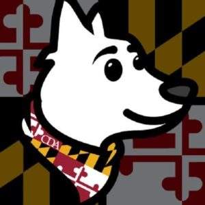 Calvert Dog Training
