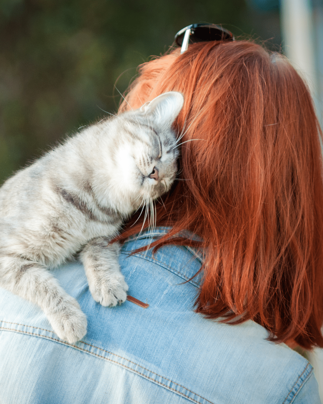 Donate - Person holding a cat