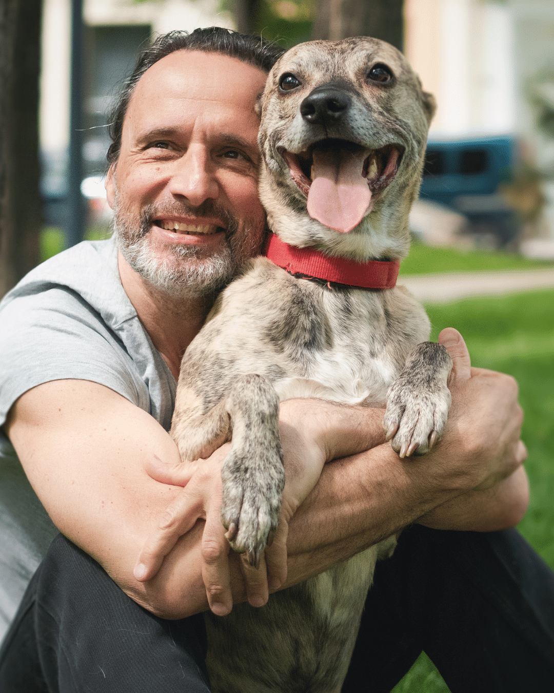 Adopt - Person holding a dog